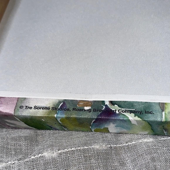 Tre Sorelle Studios "Succulent Watercolor 11" Art Print 11" Stretched Canvas EUC - Picture 6 of 7